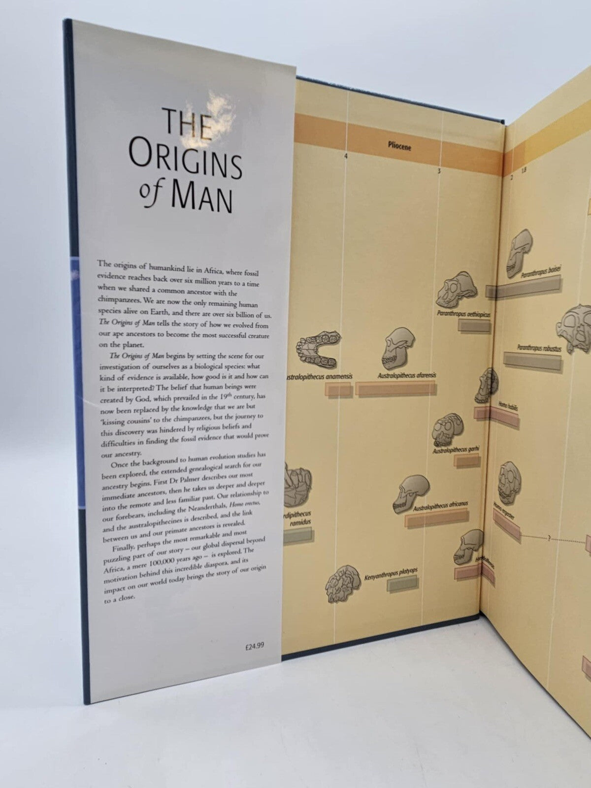 The Origins of Man: An Illustrated History of Human Evolution - Hardcover - GOOD