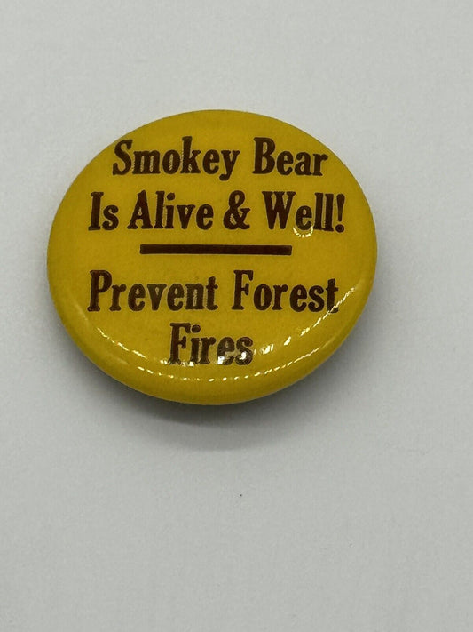Vtg Pinback Button - Smokey Bear Is alive & well prevent forest fires 006
