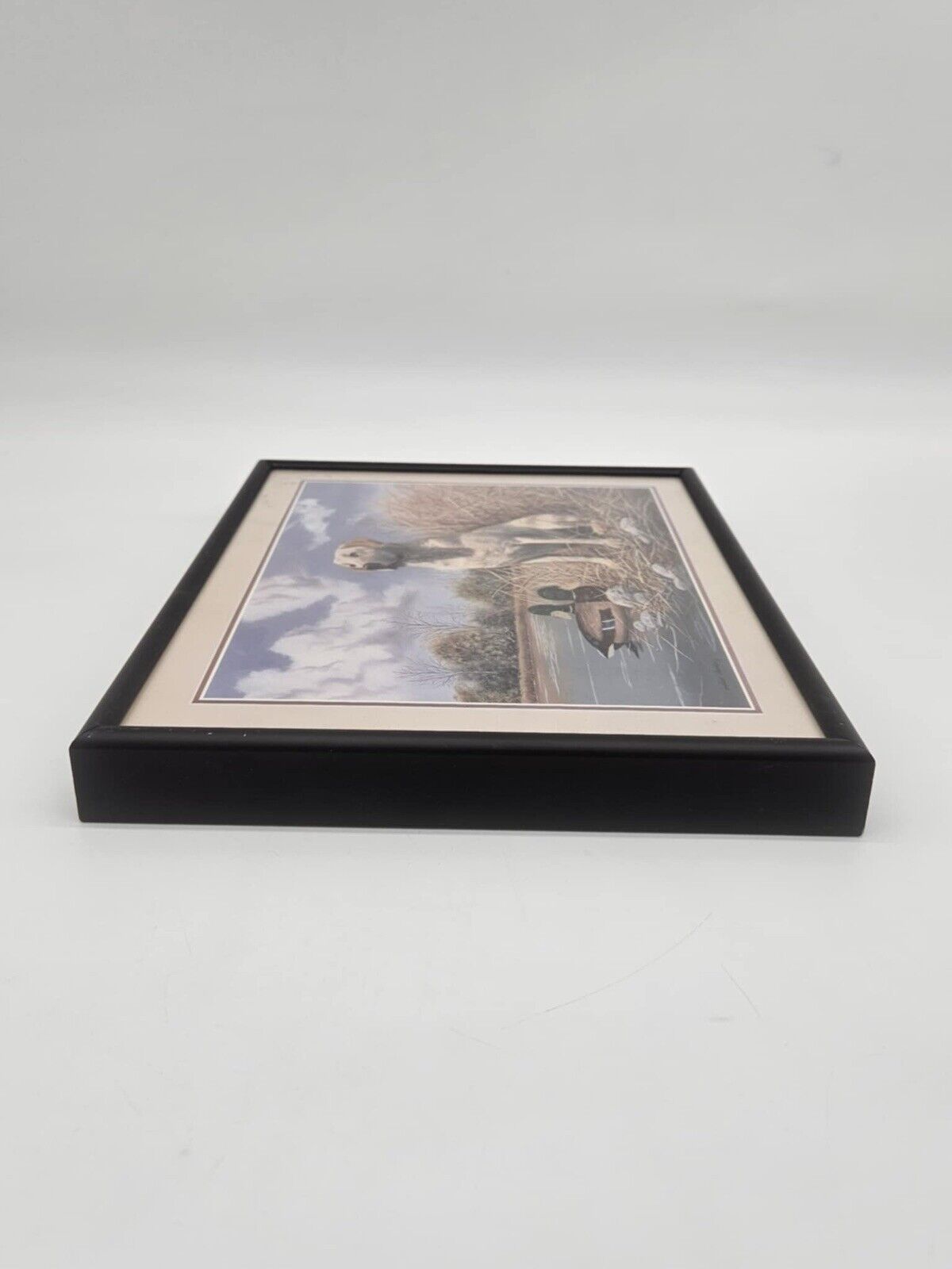 Golden Lab, Pheasant, Hunting Dogs 3 Framed Picture Set Home Decor (JB01)