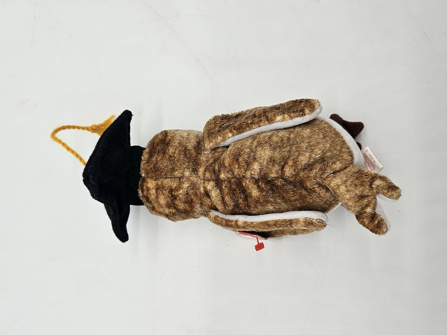 Mint TY Beanie Baby - WISEST the Graduation Owl 2000
