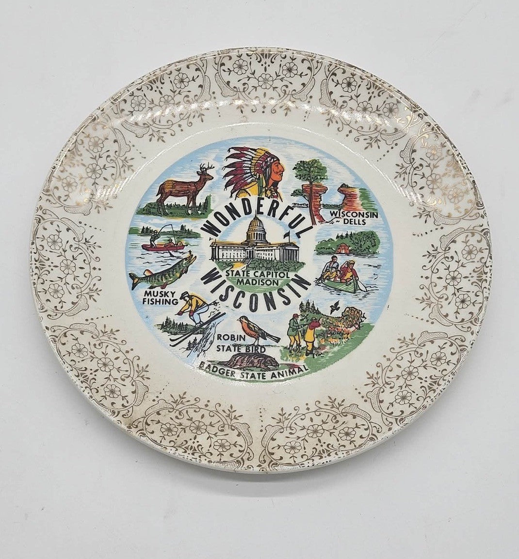 Vintage Wisconsin State Plate Porcelain Souvenir 9"  COLLECTOR PLATE USA