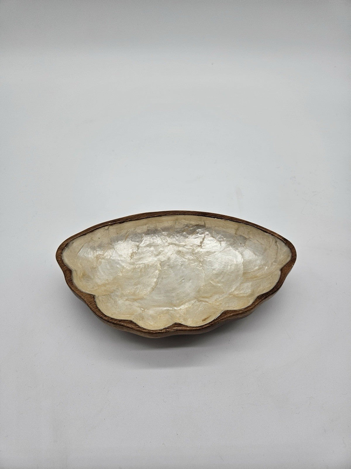 VINTAGE CAPIZ SHELL