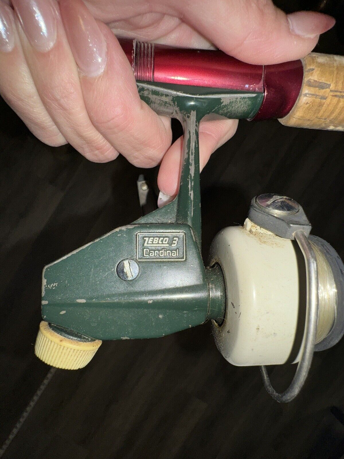 Vintage Garcia Conolon B501-a Fishing Rod W/ Zebco Cardinal 3 Spinning Reel