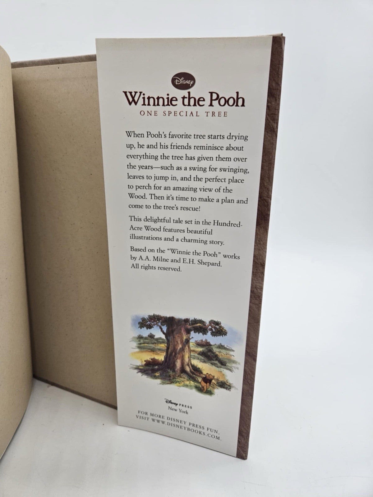 One Special Tree (Winnie the Pooh) by K. Emily Hutta, Carson Van Osten (Illustra