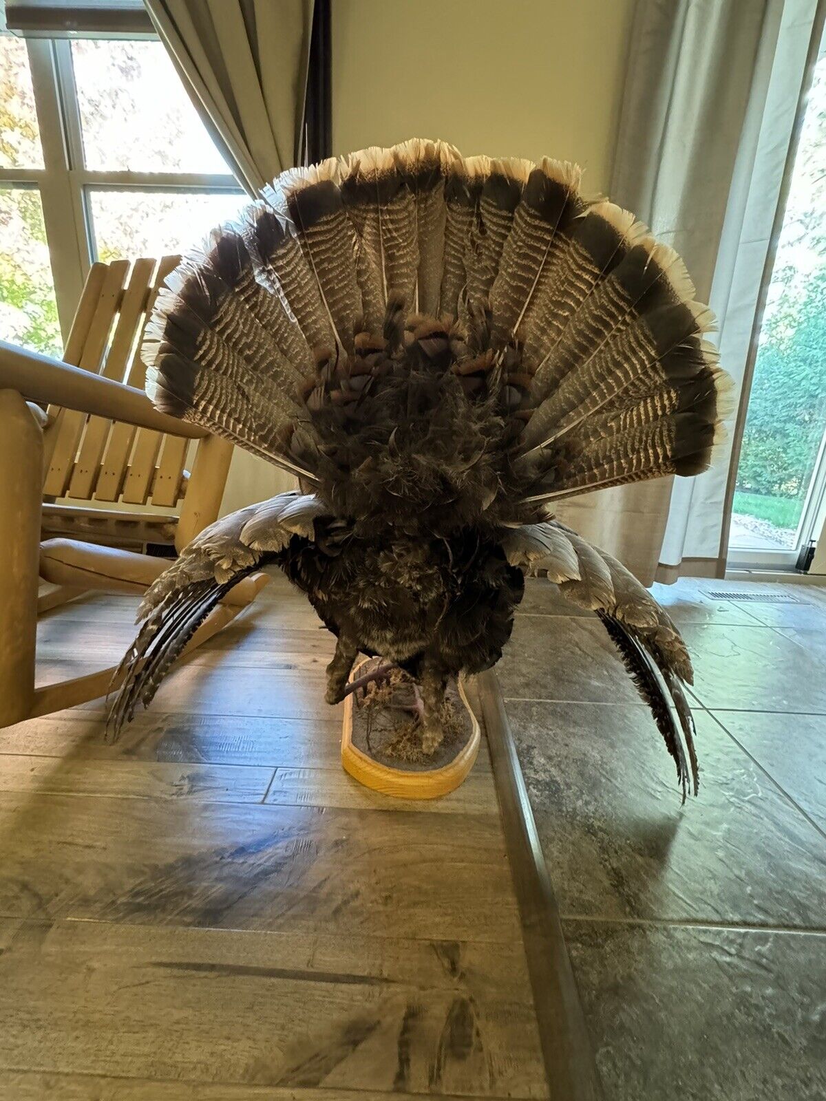 Full Body Eastern Wild Turkey Taxidermy Mount