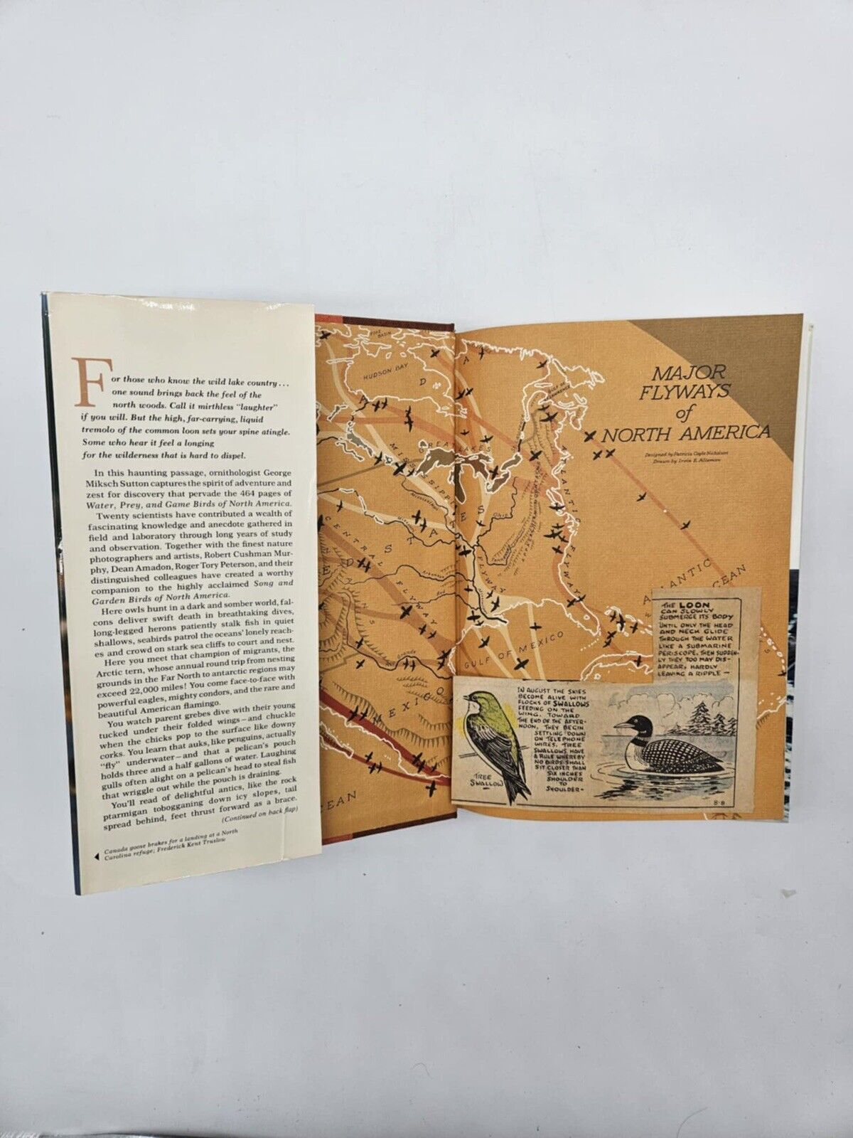 National Geographic BIRDS OF NORTH AMERICA Box Set with Bird Songs Records