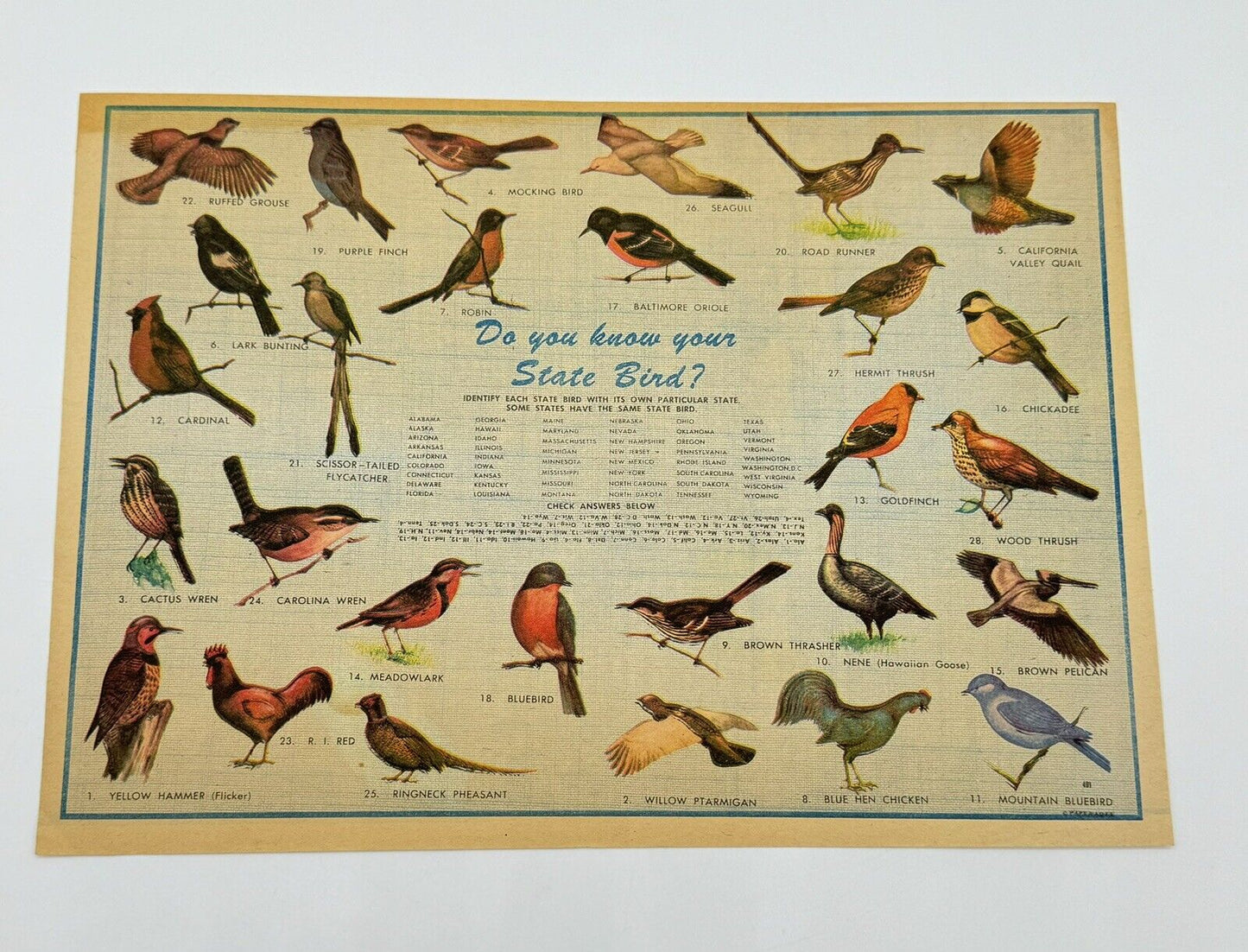 1940s Vintage Poster Featuring the State Birds of the United States