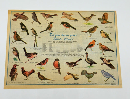 1940s Vintage Poster Featuring the State Birds of the United States