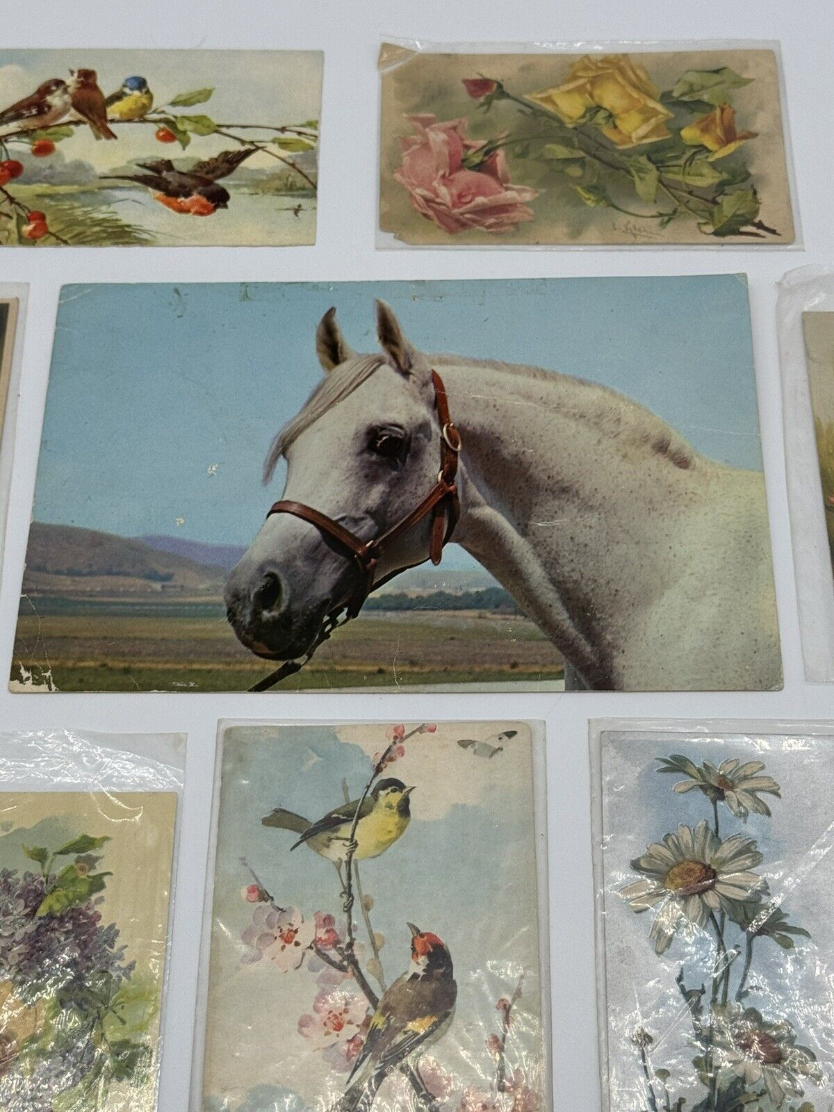 Lot of 8 Vintage Antique Postcards ~ Art Project Material