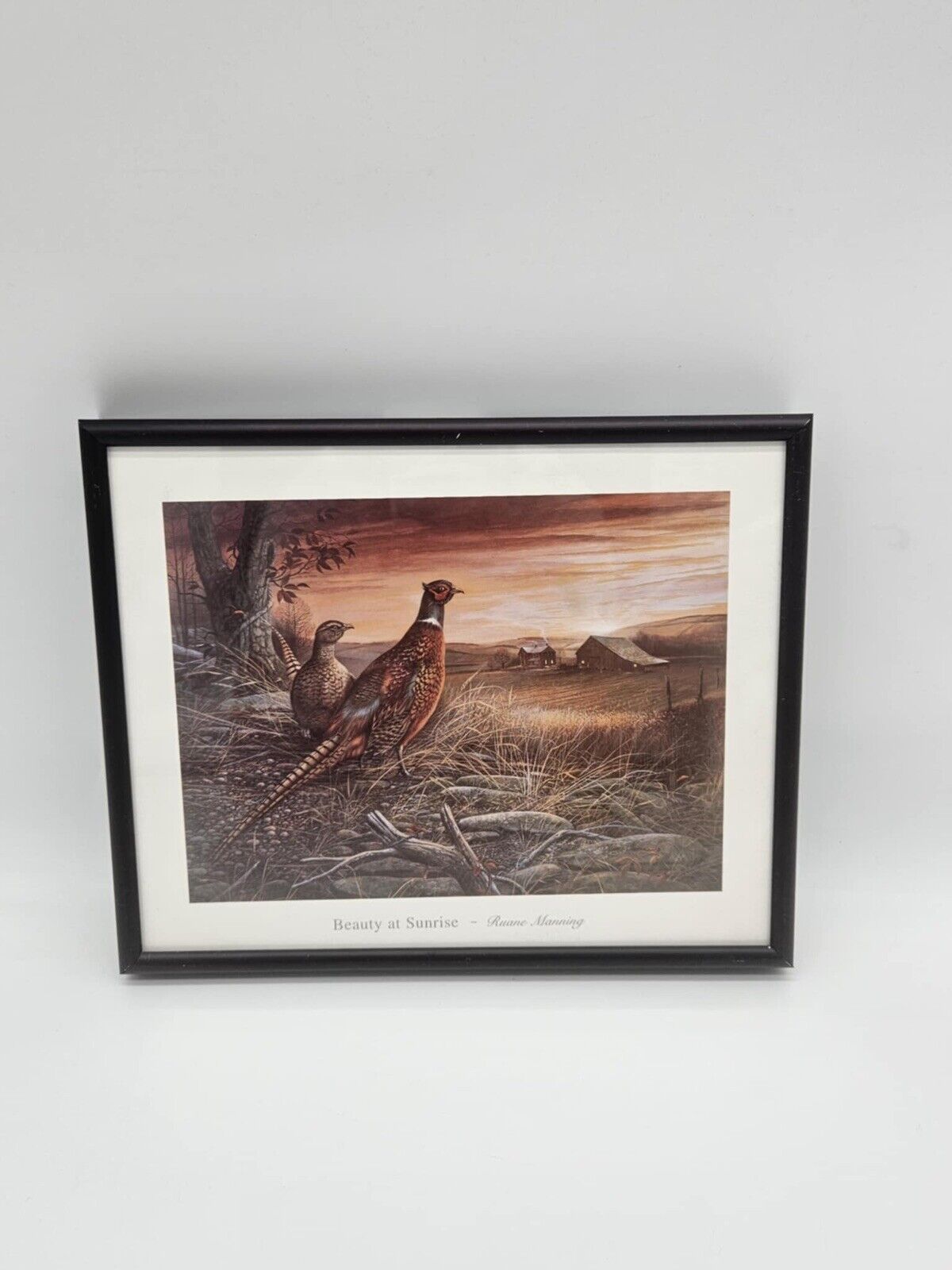Golden Lab, Pheasant, Hunting Dogs 3 Framed Picture Set Home Decor (JB01)