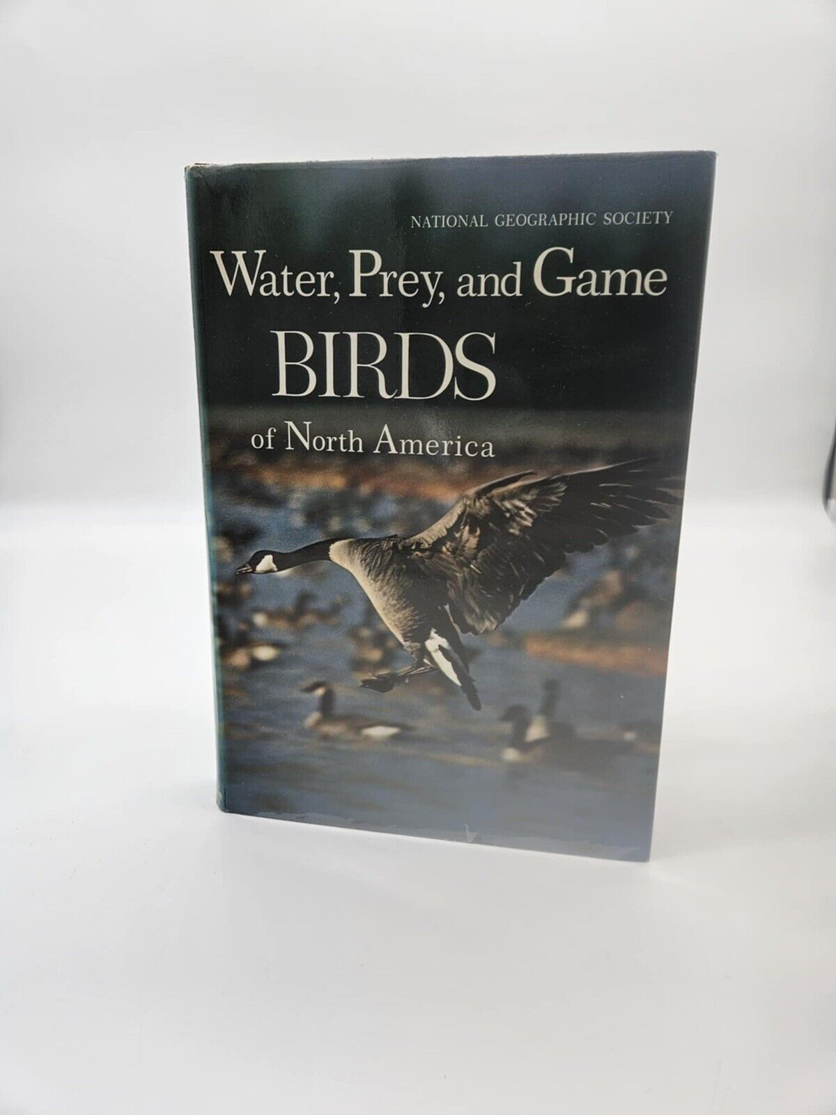 National Geographic BIRDS OF NORTH AMERICA Box Set with Bird Songs Records