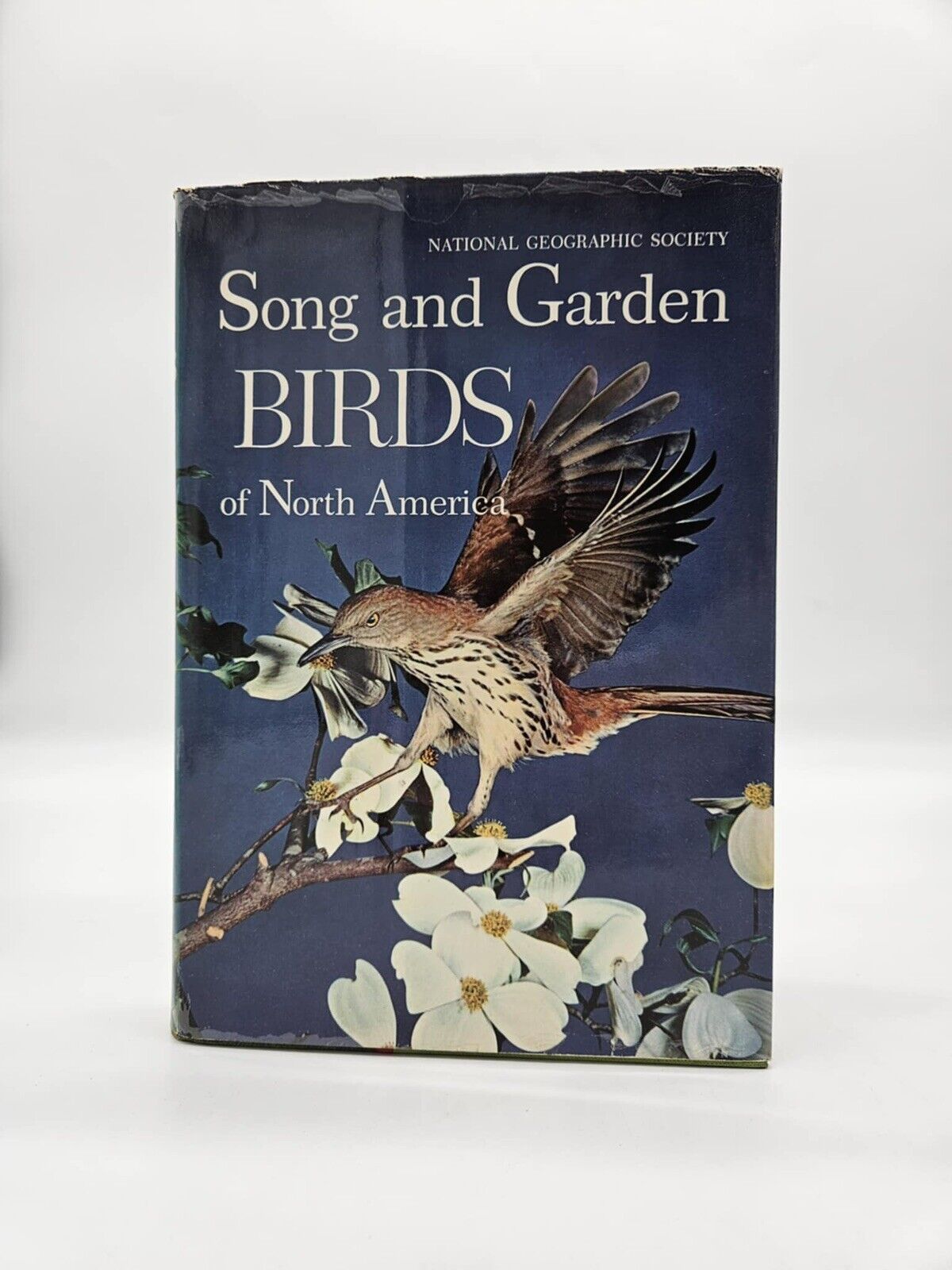 National Geographic BIRDS OF NORTH AMERICA Box Set with Bird Songs Records