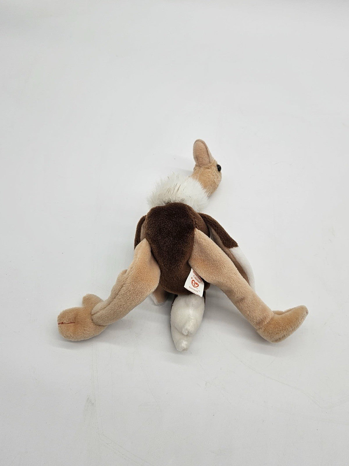 Ty * Beanie Babies ~ 'Stretch' the Ostrich * 1997 * NO Hang Tag * Well Worn Tag
