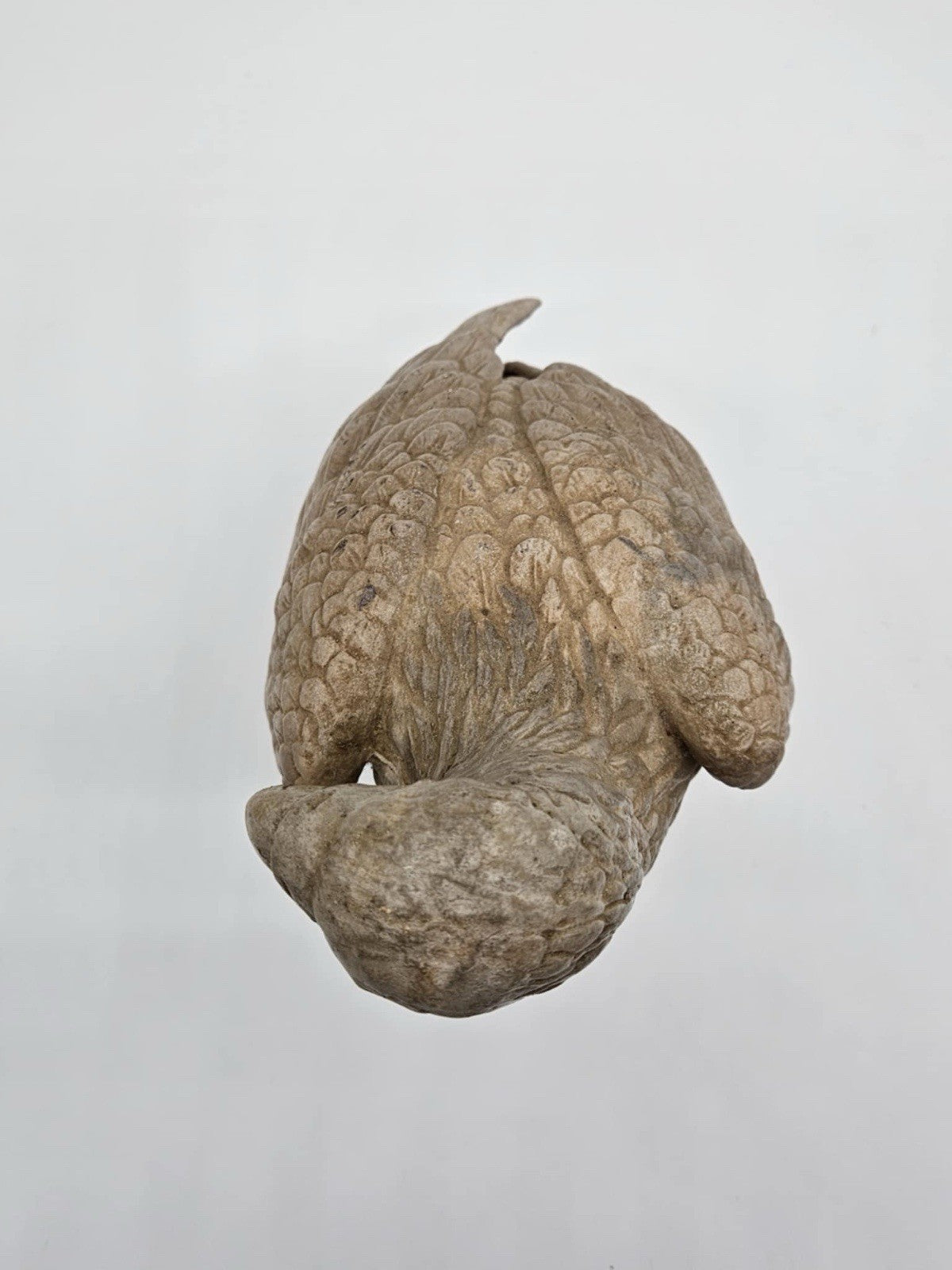 Pressed Stone Eagle Statue Massive Forest Bird Sculpture 14”