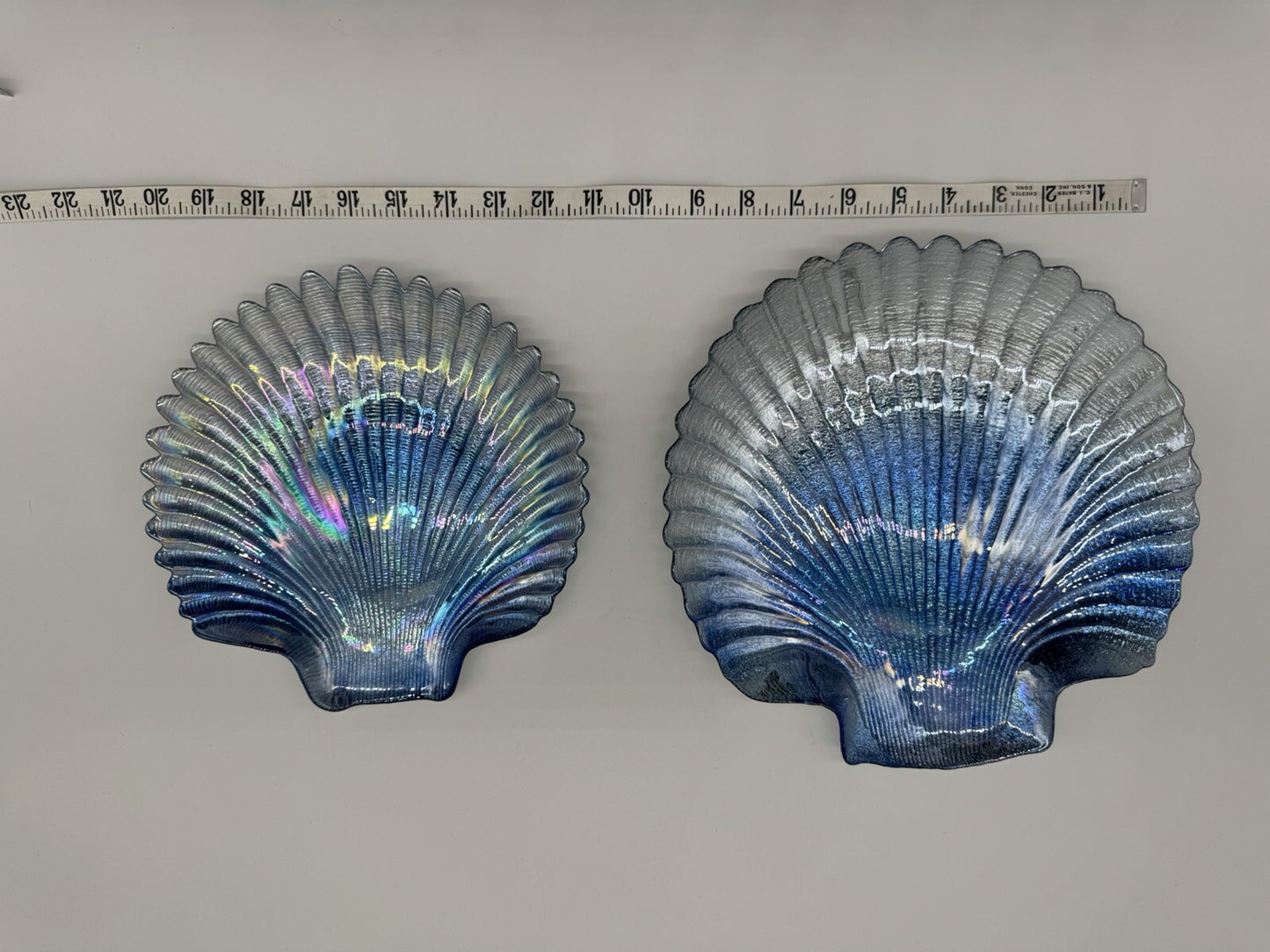 Glass Sea Shell Iridescent, Shimmery, Holographic, Opalescent effect