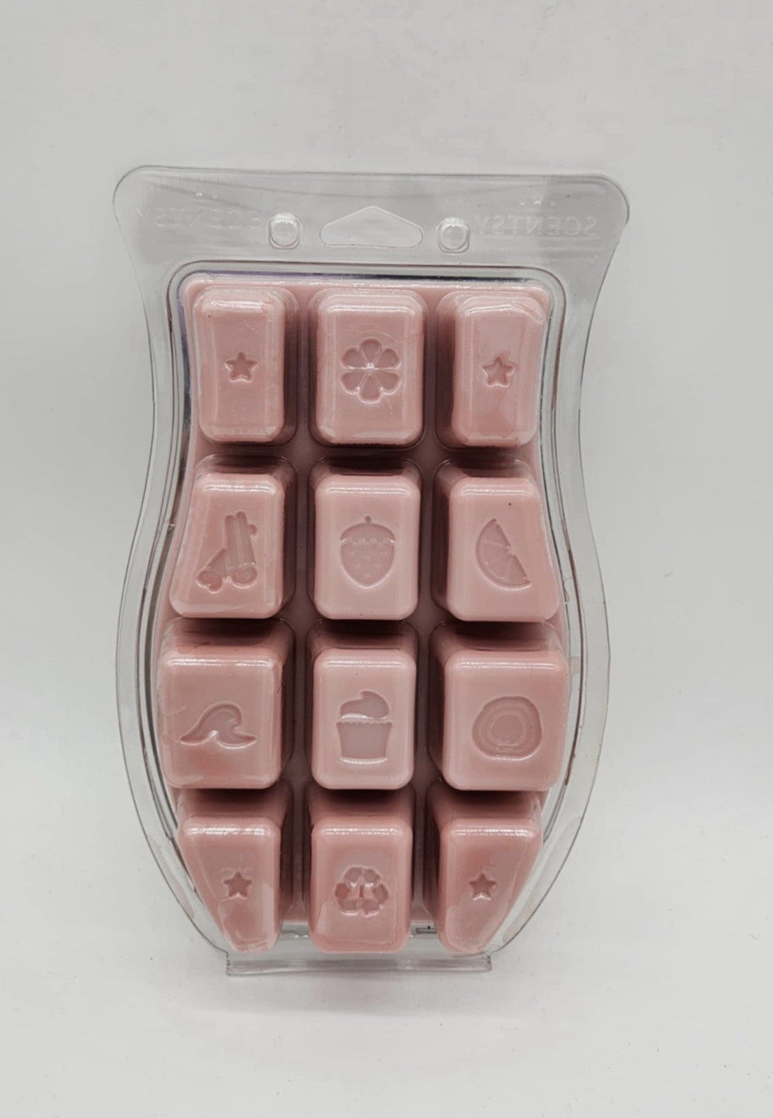 Scentsy Wax BRICK EARidescent Scent 17 fl. oz. 50 Years Walt Disney World NEW