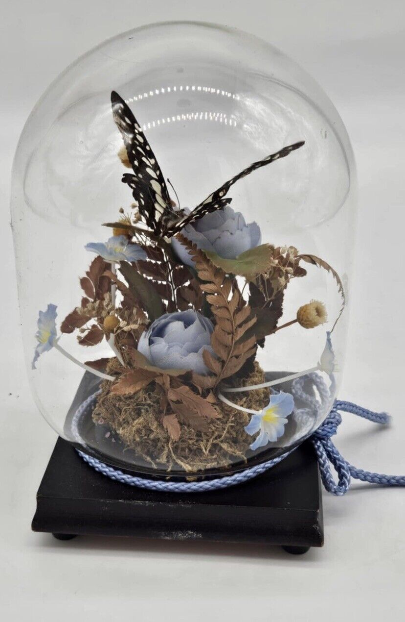 Vintage 1970s Butterfly in Glass Dome Display
