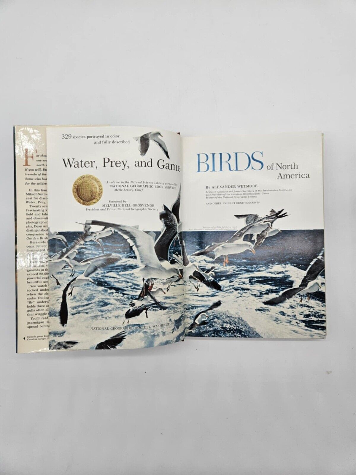 National Geographic BIRDS OF NORTH AMERICA Box Set with Bird Songs Records