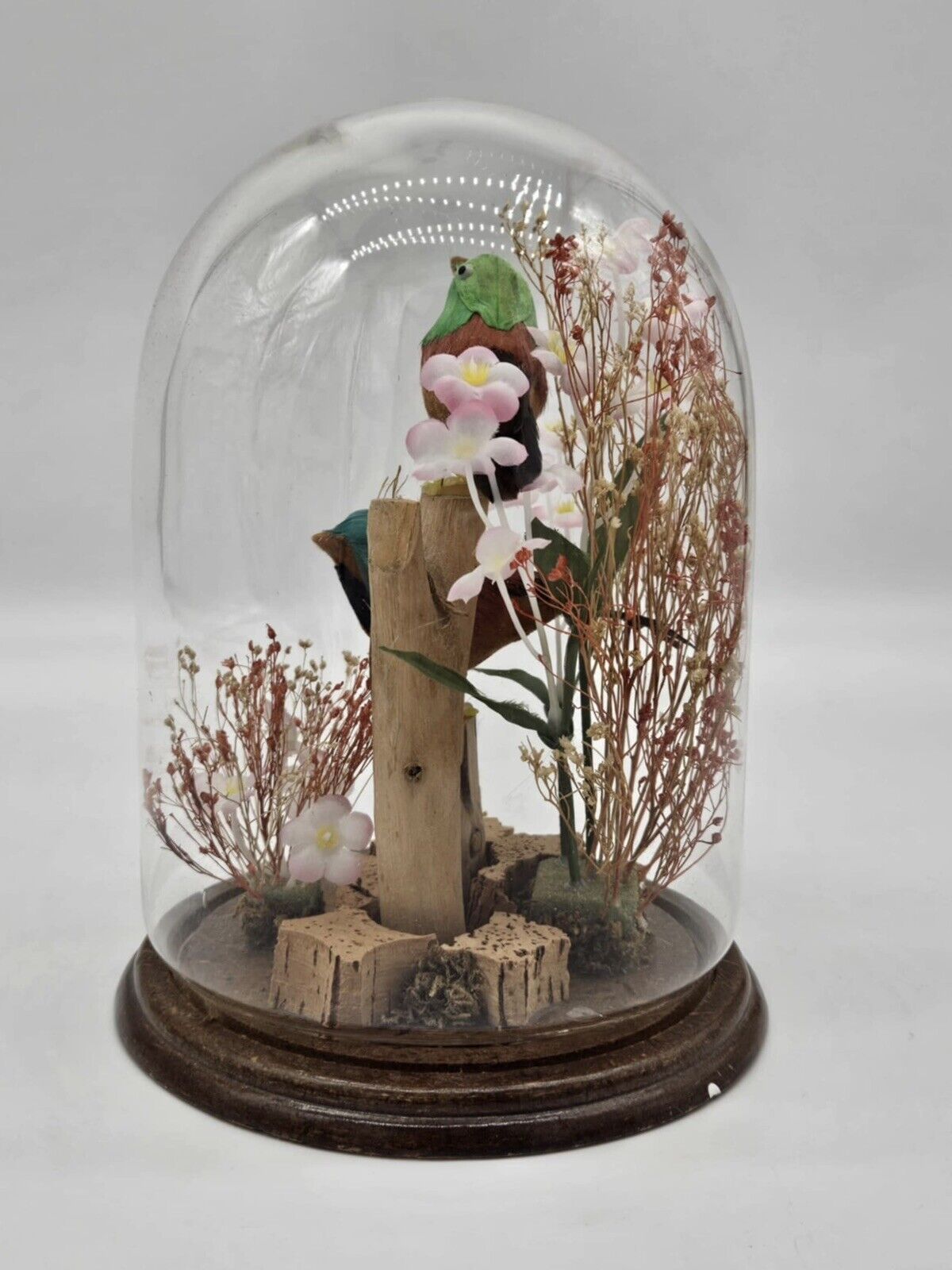 Vintage Birds on Wood with Flowers Under Glass Dome Cloche