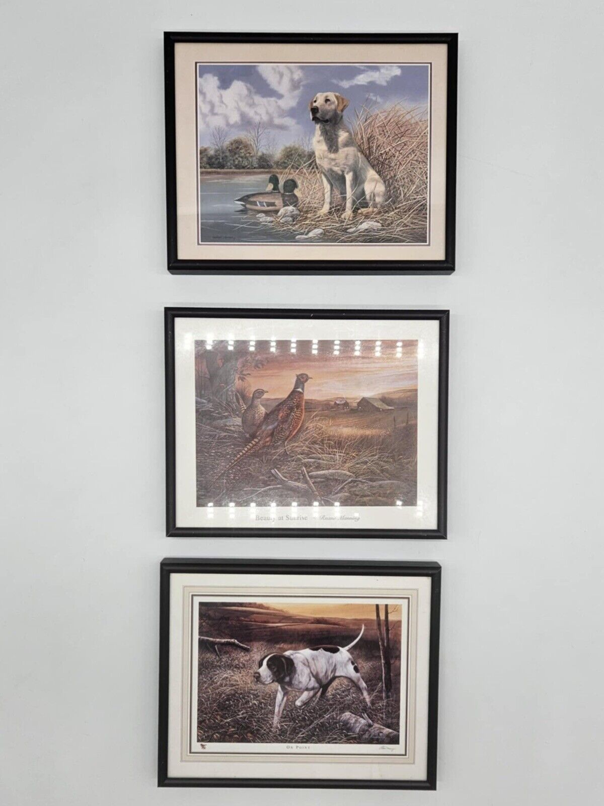 Golden Lab, Pheasant, Hunting Dogs 3 Framed Picture Set Home Decor (JB01)
