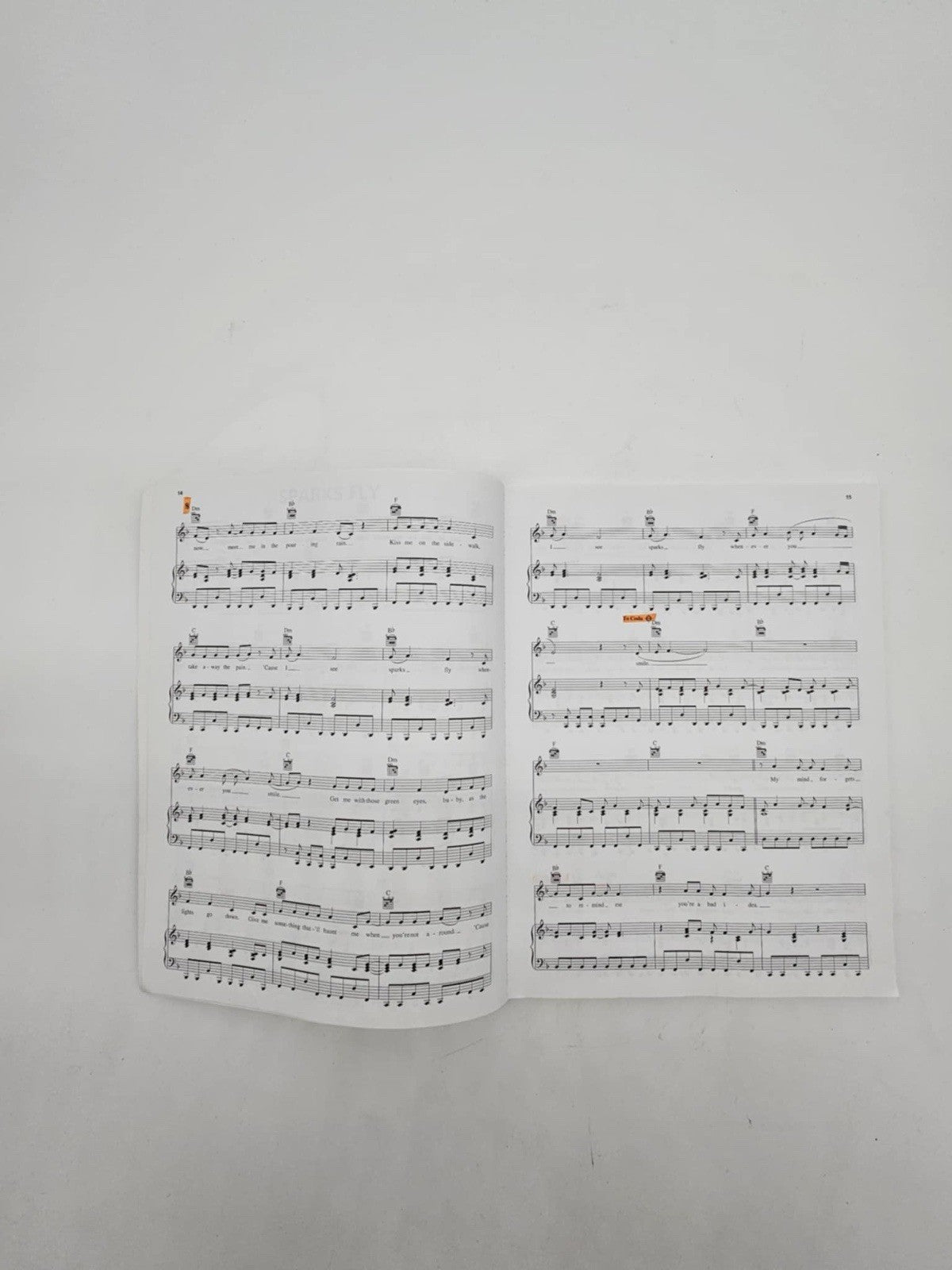 Taylor Swift Speak Now Easy Guitar with Notes & Tab / 2011 ~ Paperback