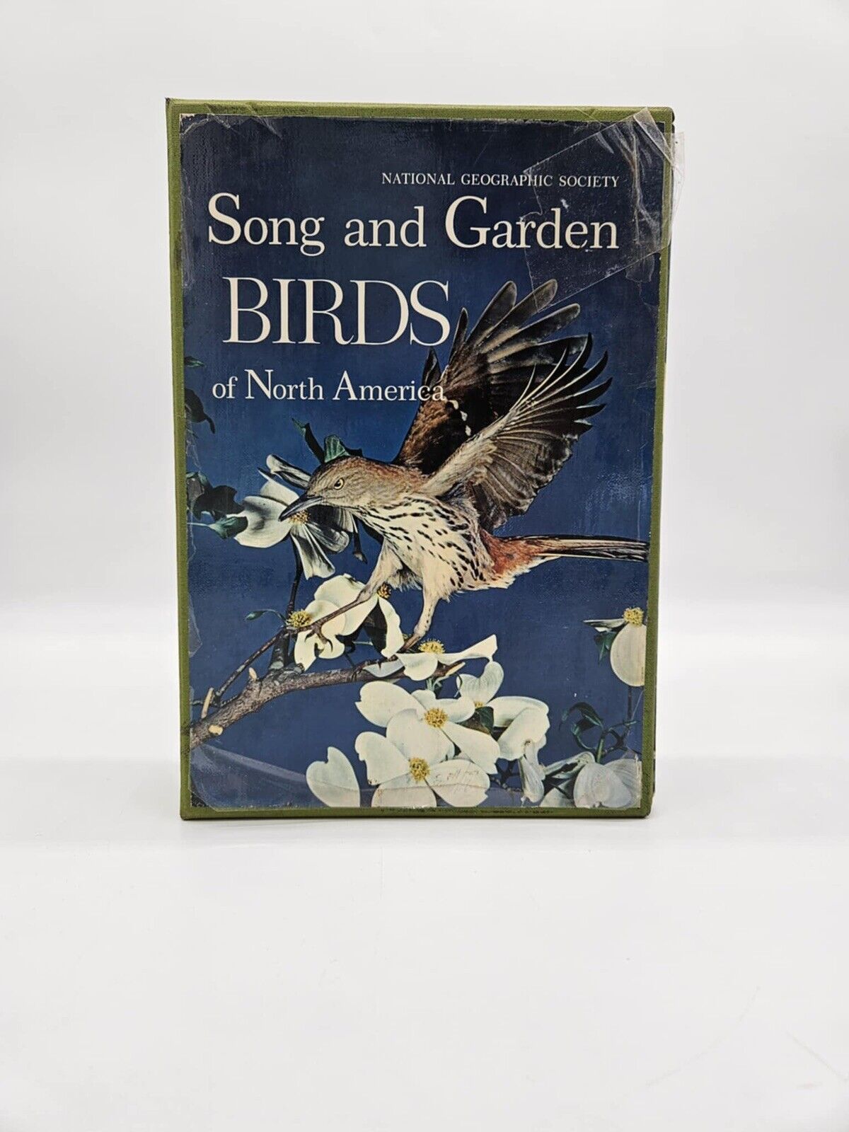 National Geographic BIRDS OF NORTH AMERICA Box Set with Bird Songs Records