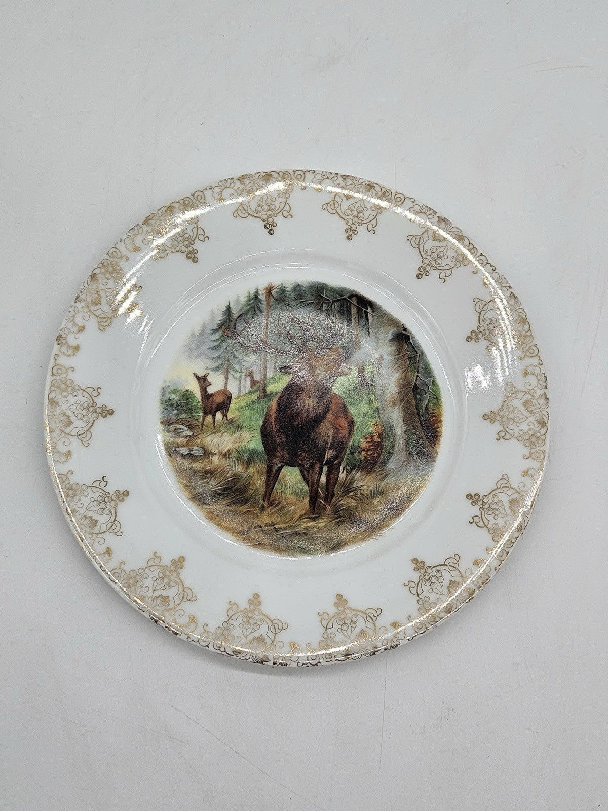 Zeh Scherzer Z. S. & Co Bavaria Empire Plate Transfer 12 Pt Buck