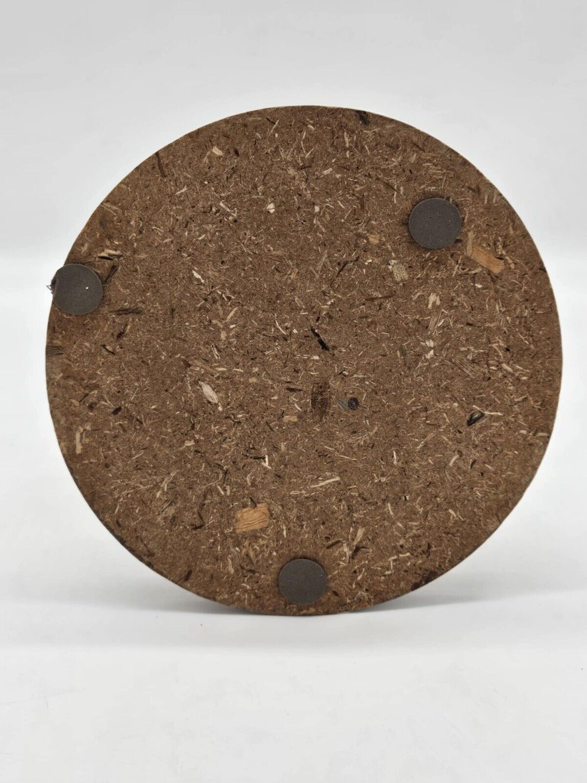 Vintage Birds on Wood with Flowers Under Glass Dome Cloche