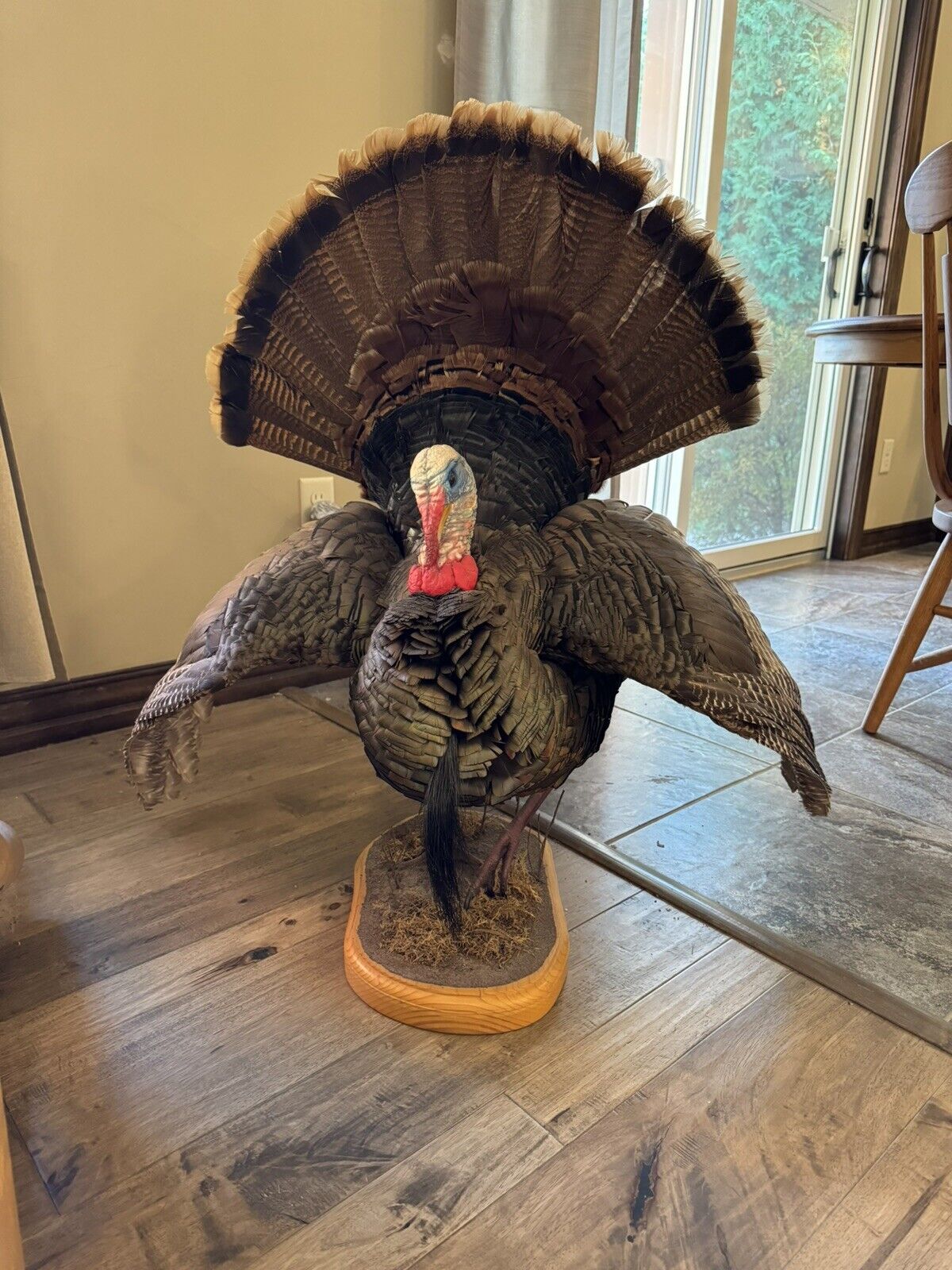Full Body Eastern Wild Turkey Taxidermy Mount