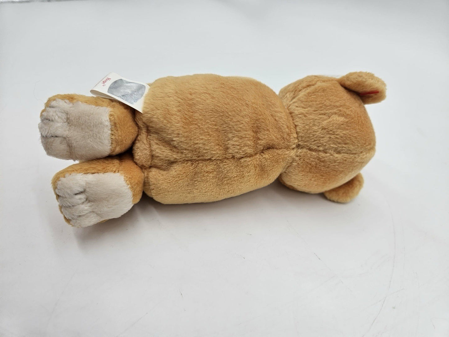 Ty Beanie Praying Bear Hope - 1998