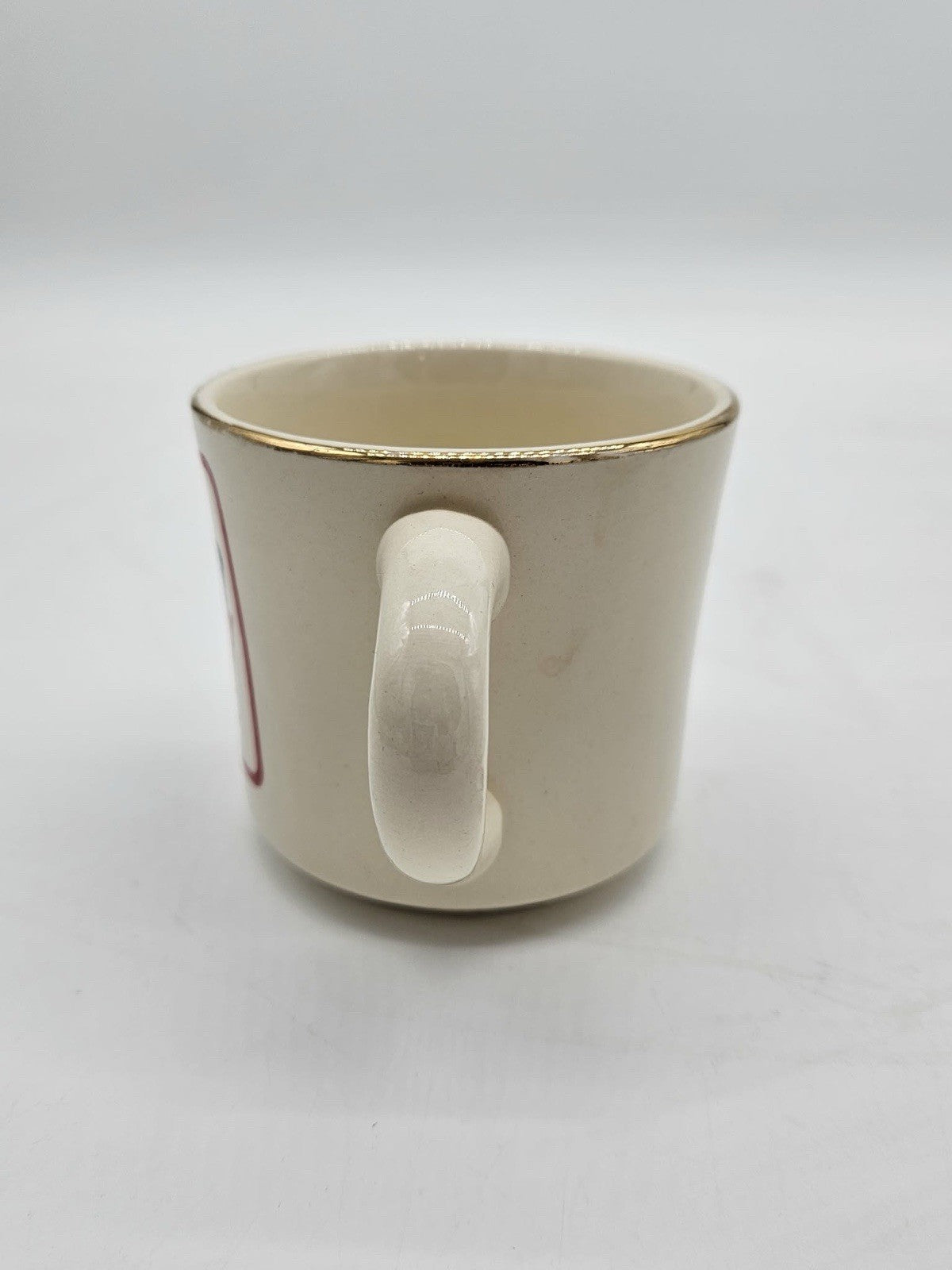 BSA Camps Valley Council Vintage Mug