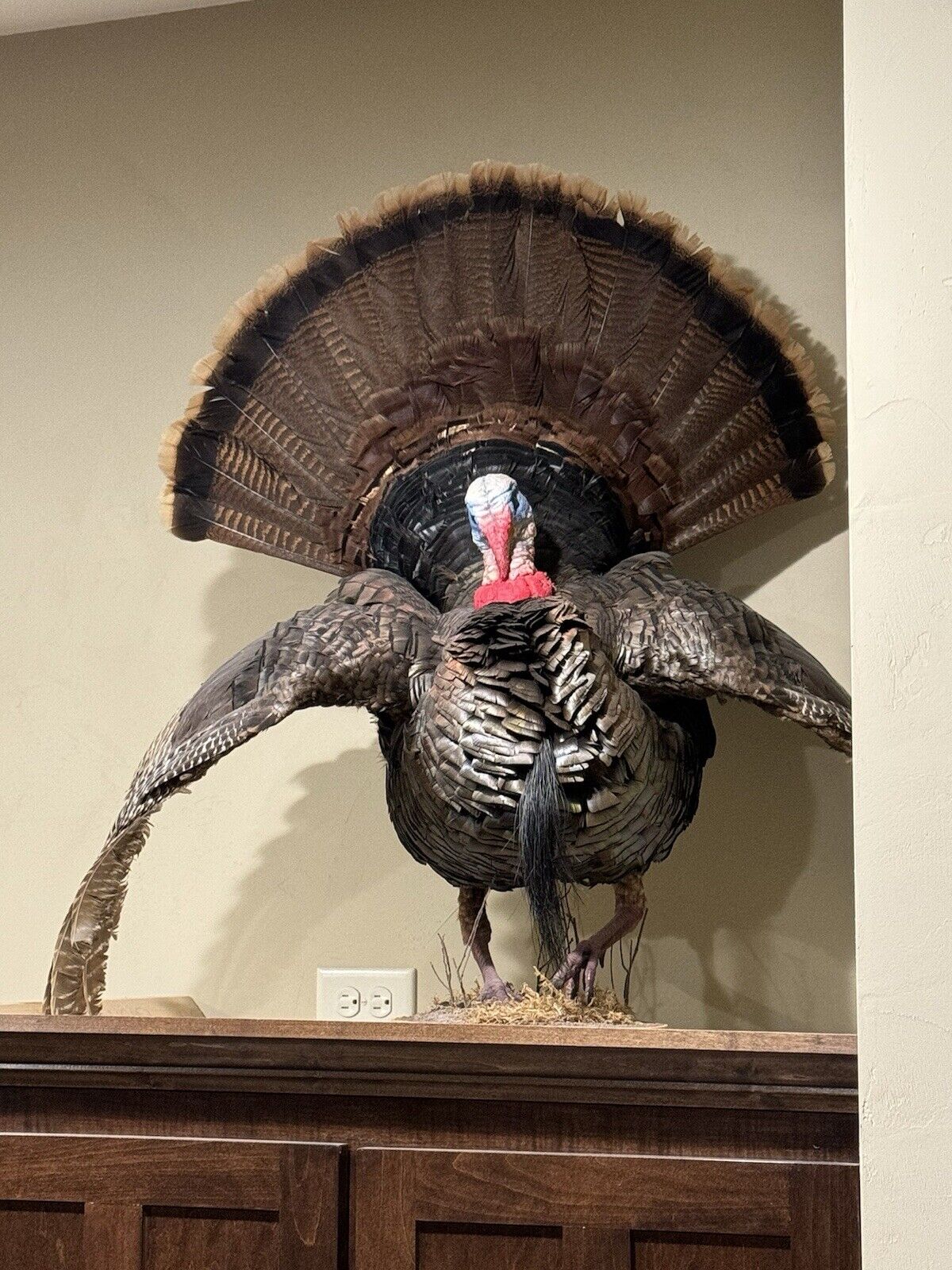 Full Body Eastern Wild Turkey Taxidermy Mount