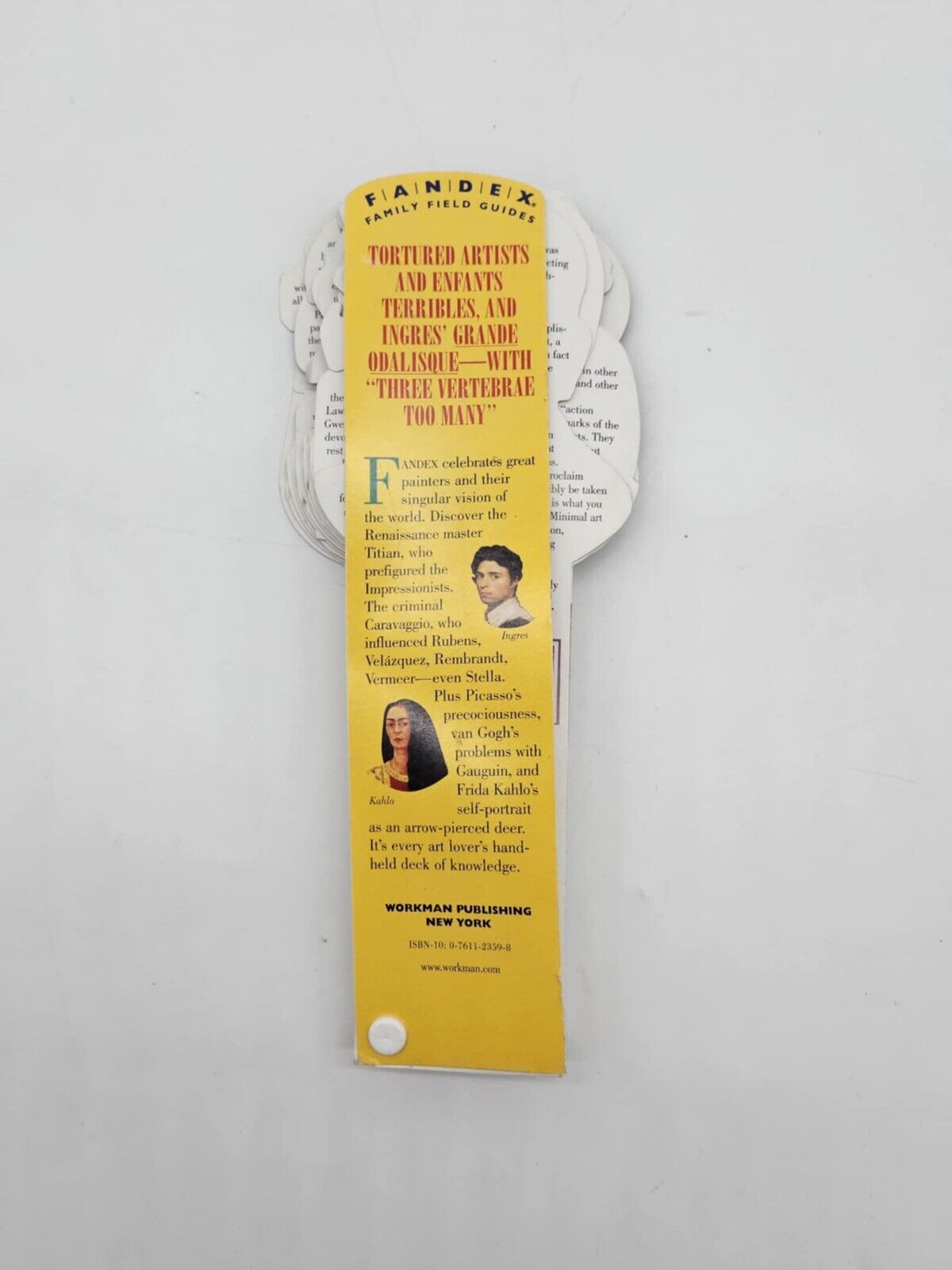 Painters: Masters of Western Art (Fandex Family Field Guides)