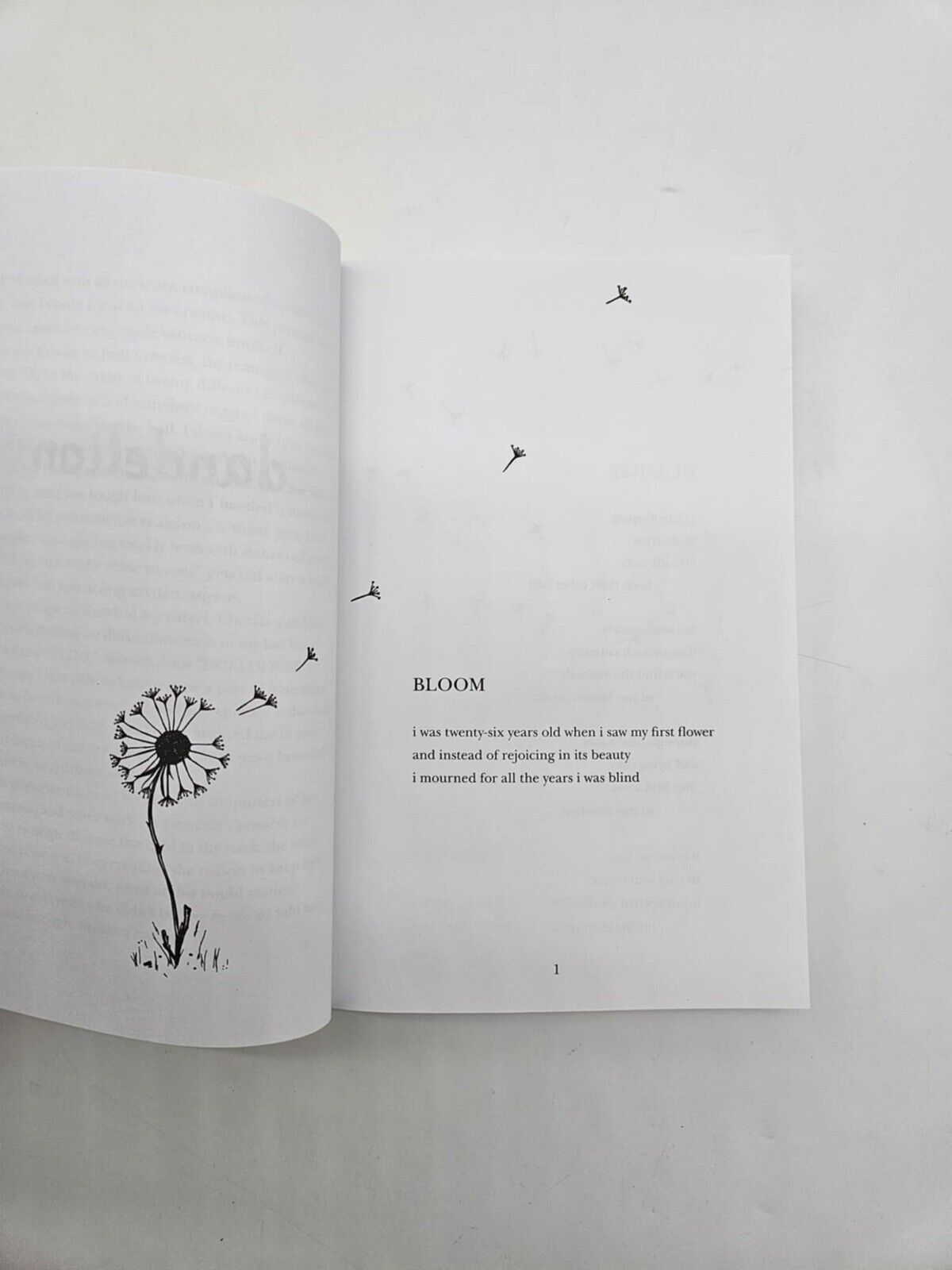 Dandelion, Hanna, Gabbie, 9781982153380