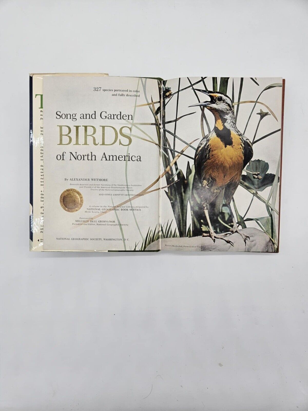 National Geographic BIRDS OF NORTH AMERICA Box Set with Bird Songs Records
