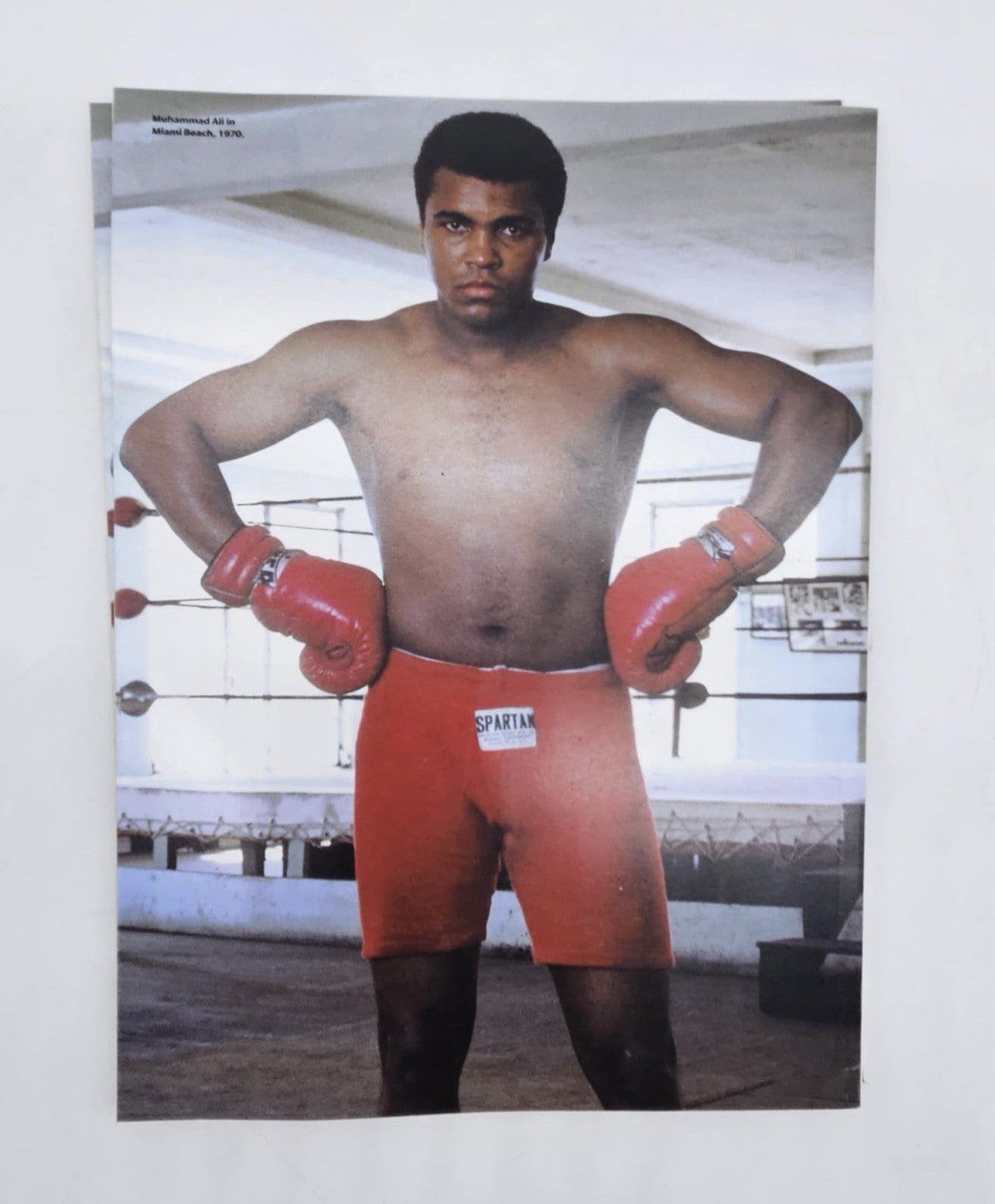 LIFE 100 People Who Changed the World 2020 Steve Jobs Oprah MLK Einstein Obama