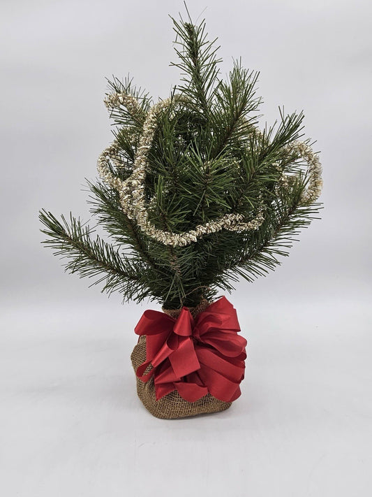 Mini Tabletop Christmas Tree in Burlap Base with Red Bow