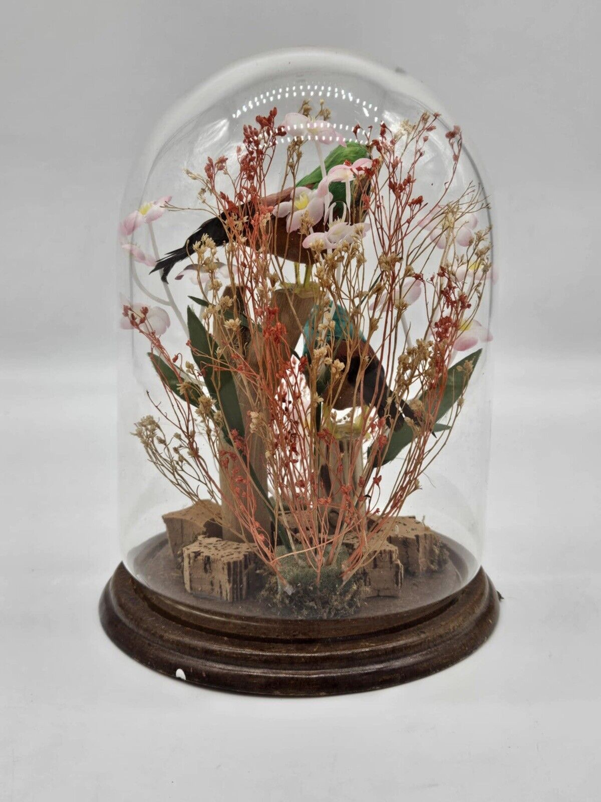 Vintage Birds on Wood with Flowers Under Glass Dome Cloche