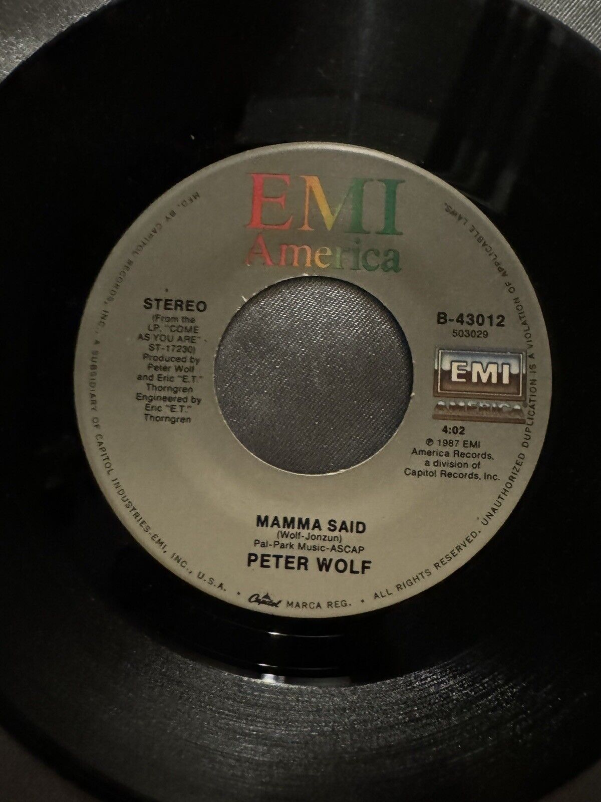 PETER WOLF ~ Can't Get It Started ~ 45rpm Record In Canada