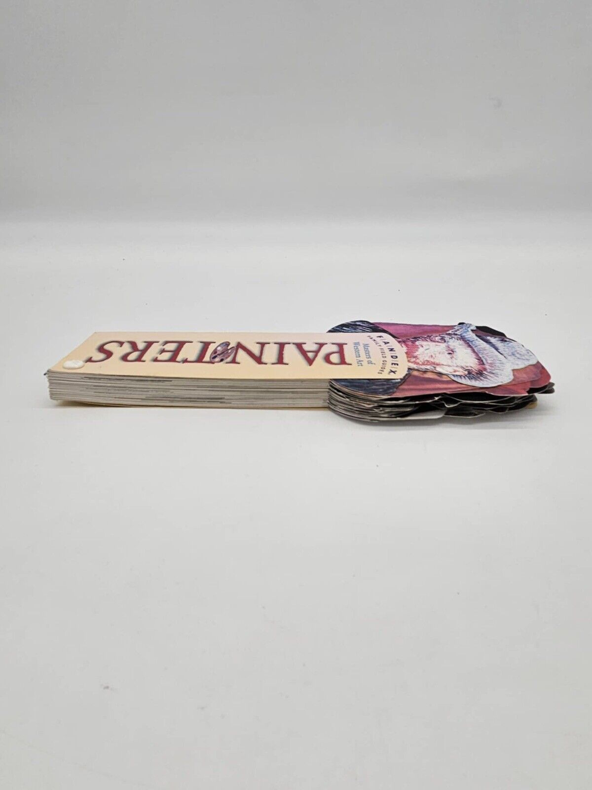 Painters: Masters of Western Art (Fandex Family Field Guides)