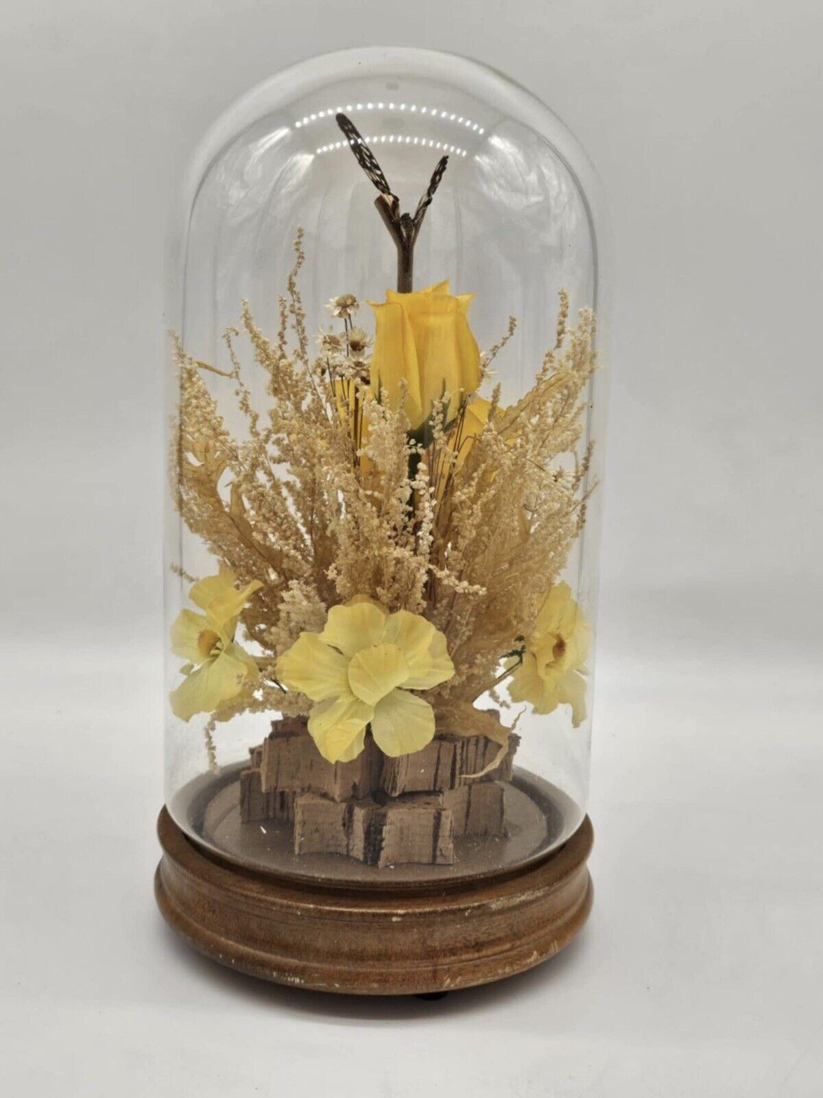 Vintage 1970s Butterfly in Glass Dome Display