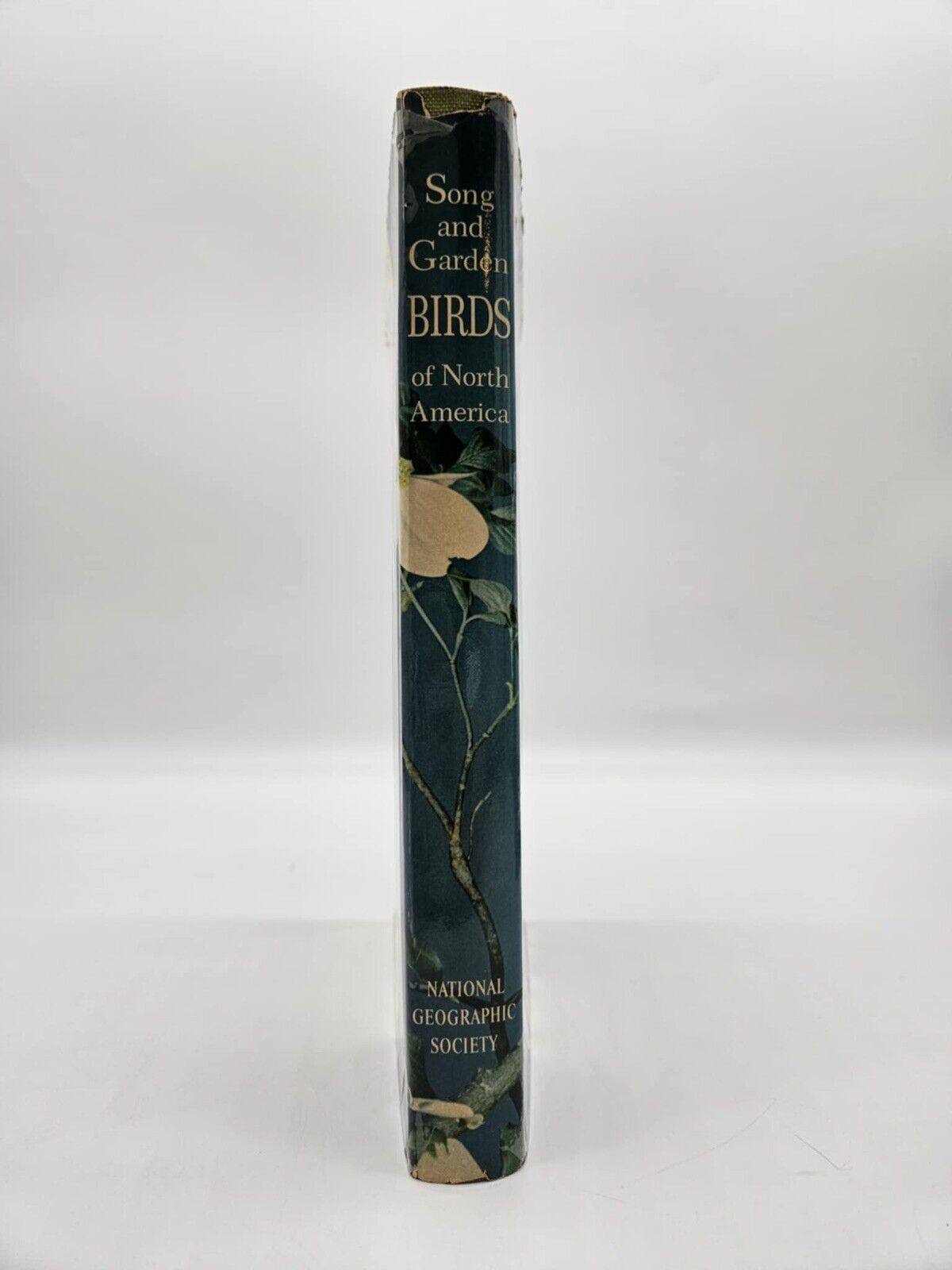 National Geographic BIRDS OF NORTH AMERICA Box Set with Bird Songs Records