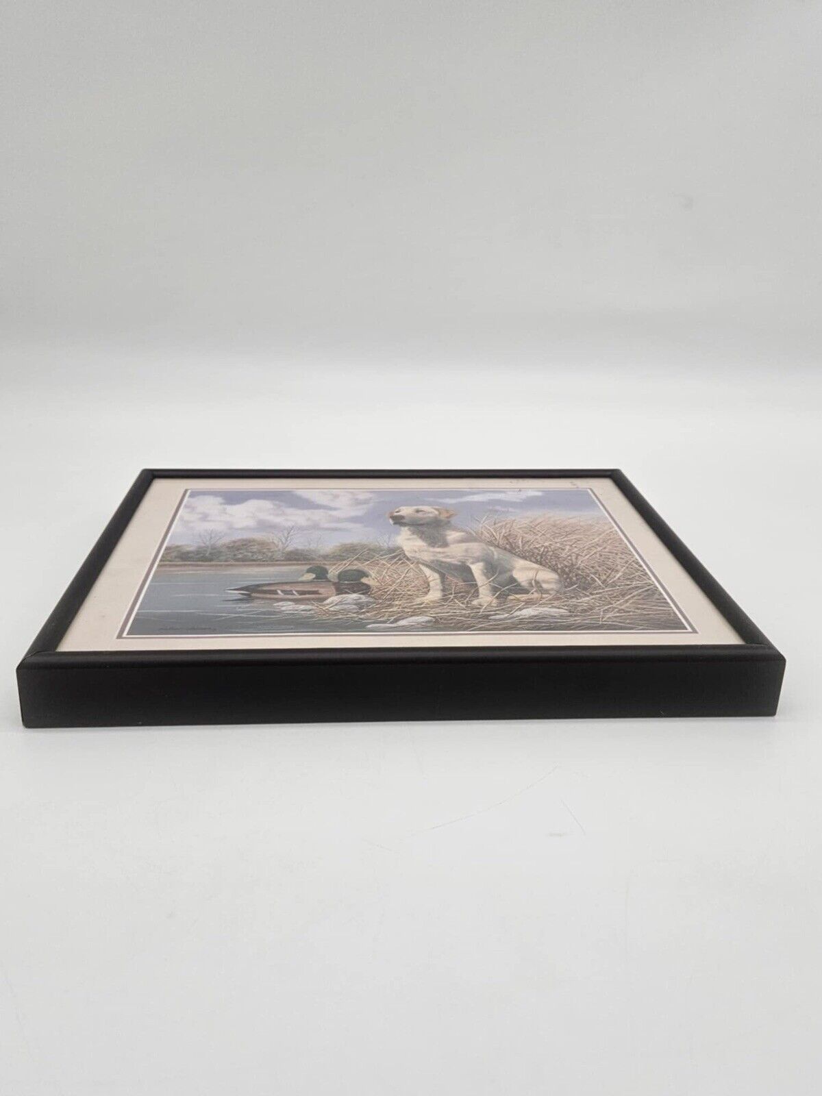 Golden Lab, Pheasant, Hunting Dogs 3 Framed Picture Set Home Decor (JB01)