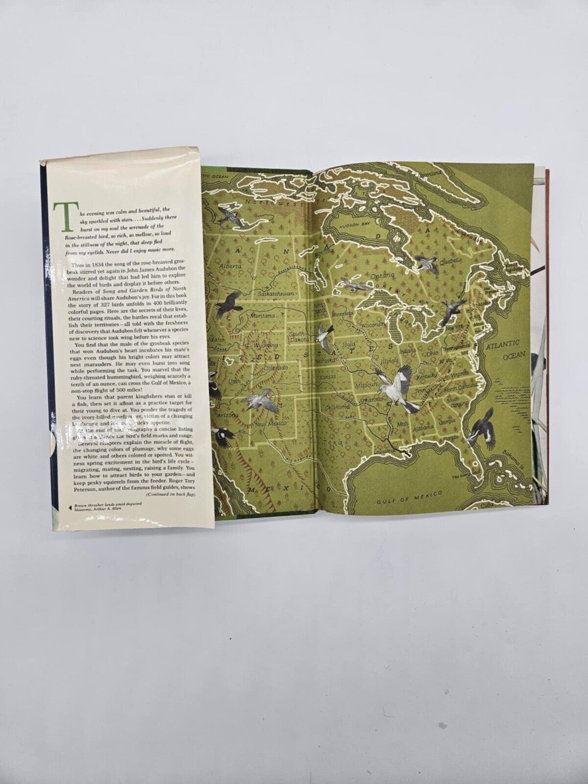 National Geographic BIRDS OF NORTH AMERICA Box Set with Bird Songs Records