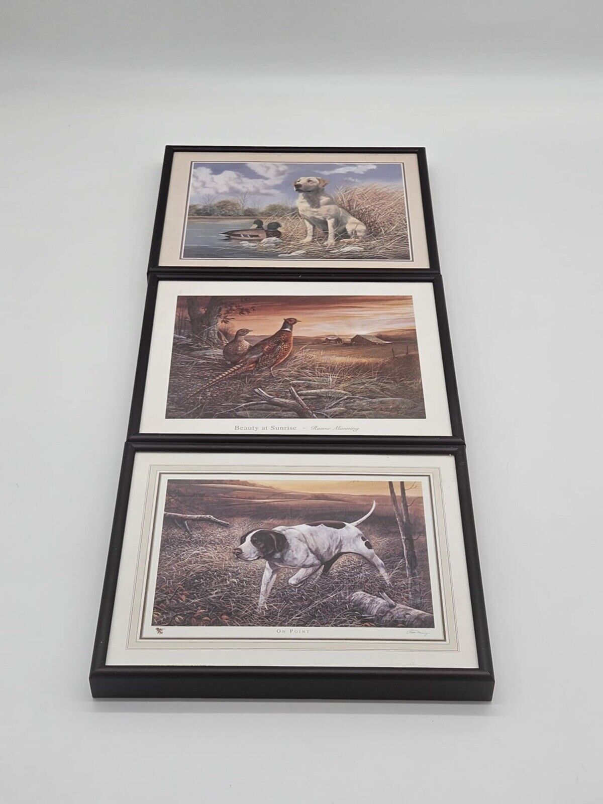 Golden Lab, Pheasant, Hunting Dogs 3 Framed Picture Set Home Decor (JB01)