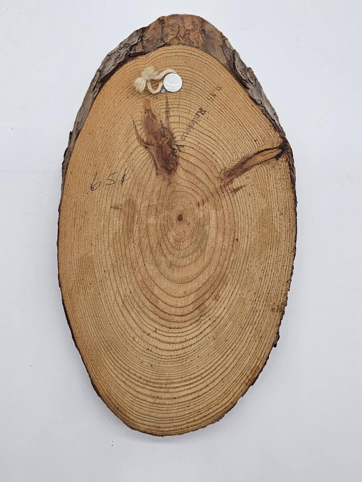 antique rochester mn decoupage pine tree wall plaques 1950 's