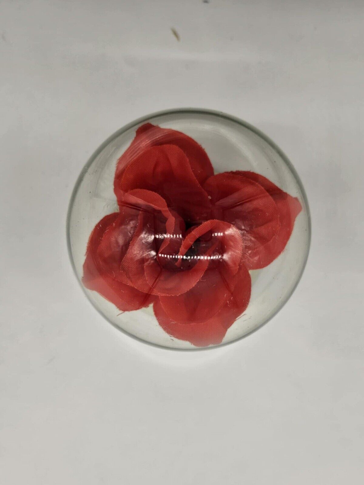 Set of 2 Lucky Star Plastic Globe with Light Up Roses Lights Work Music Box