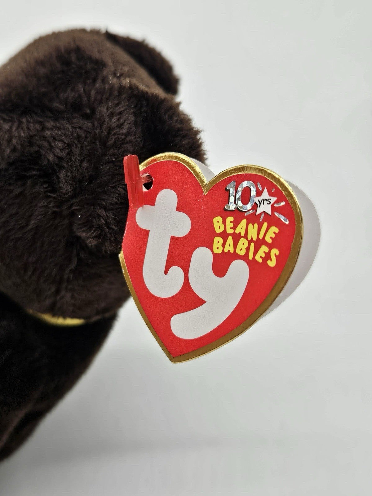 TY Beanie Baby - 2003 SIGNATURE BEAR (8.5 inch) - MWMTs Stuffed Animal Toy