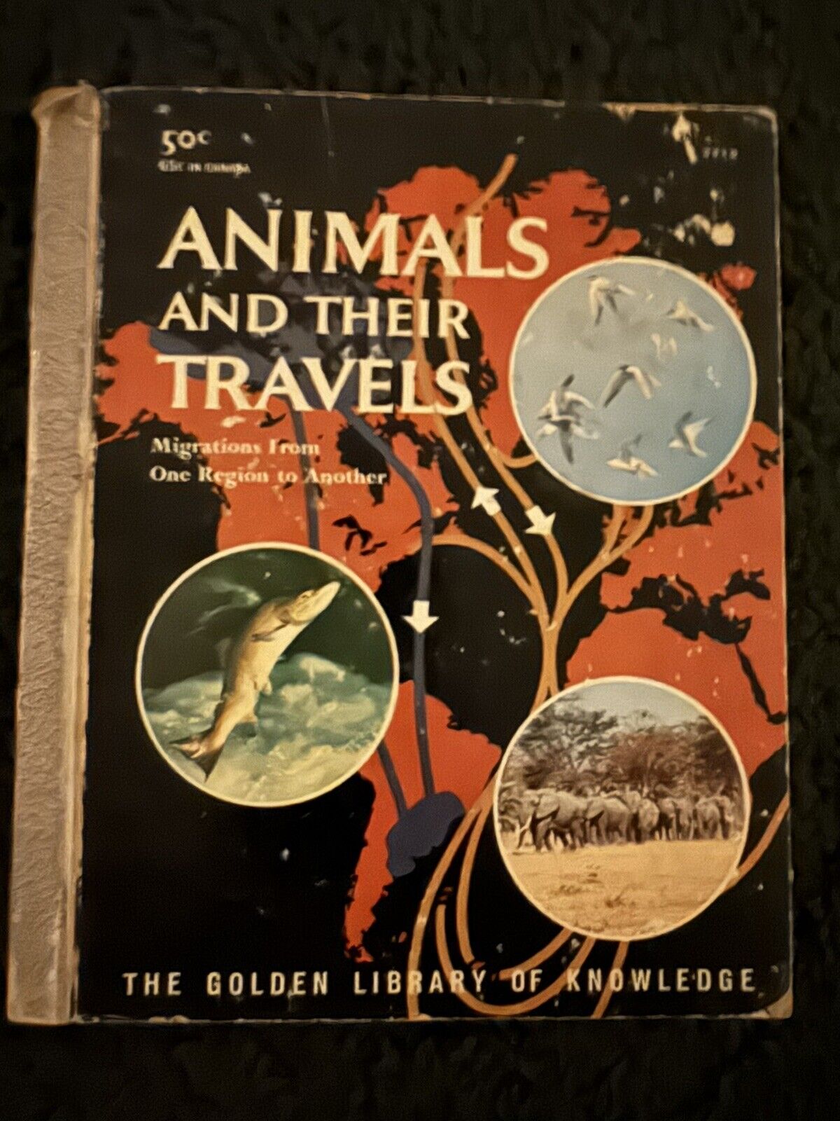 VINTAGE Little Golden Book Library of Knowledge Animals and their Travels 1959