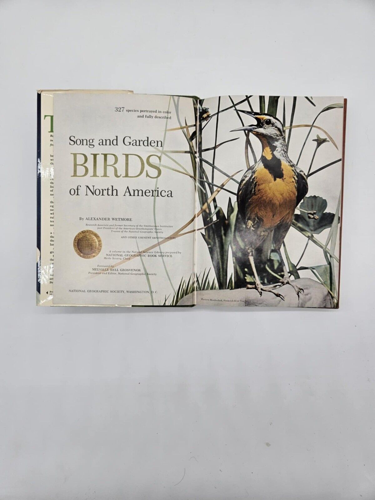 National Geographic BIRDS OF NORTH AMERICA Box Set with Bird Songs Records
